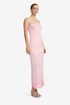 RAYNA APPLIQUE BUSTIER MAXI DRESS