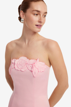 RAYNA APPLIQUE BUSTIER MAXI DRESS