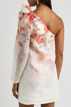 CRUSH ASYMMETRICAL MINI DRESS