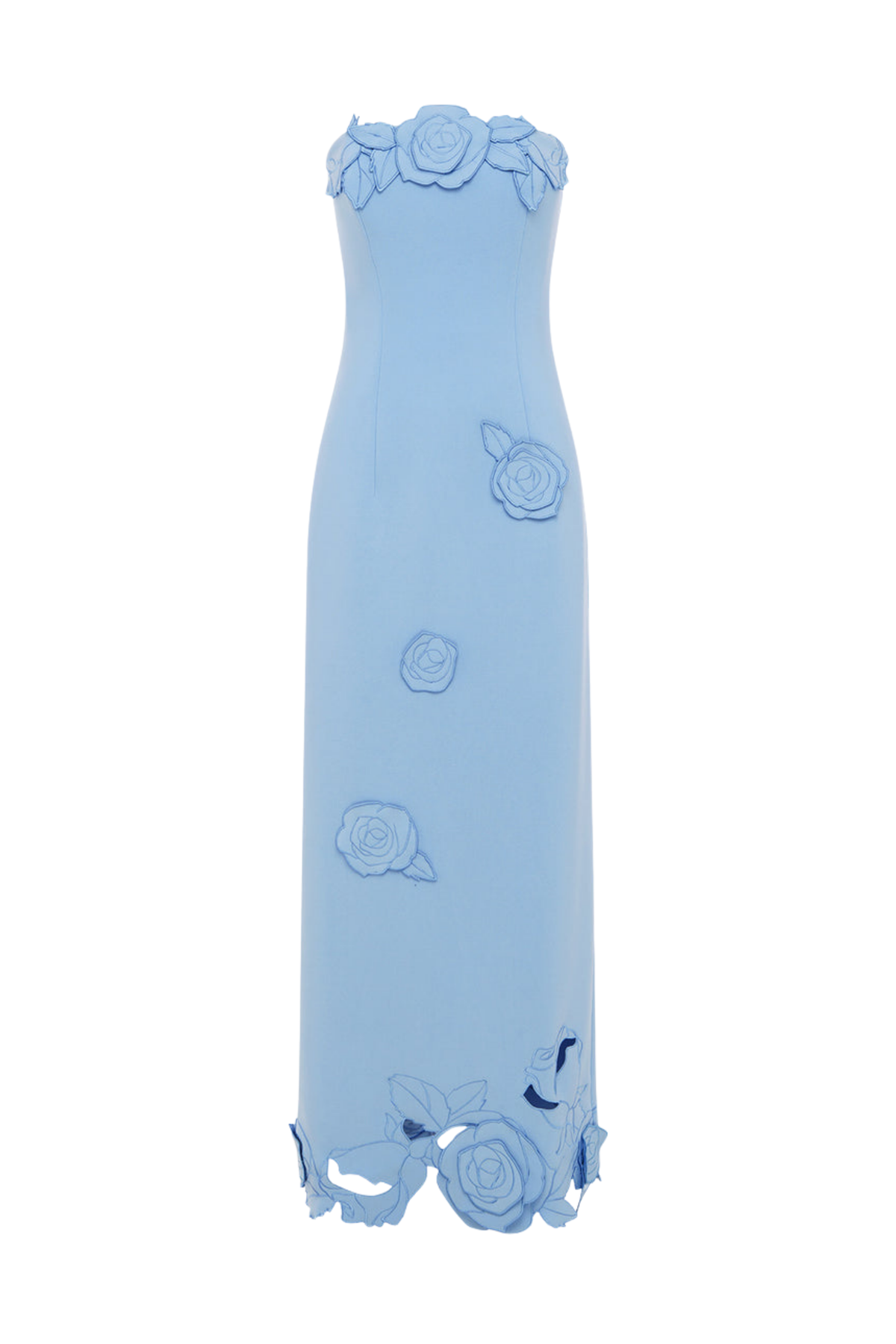 RAYNA APPLIQUE BUSTIER MAXI DRESS