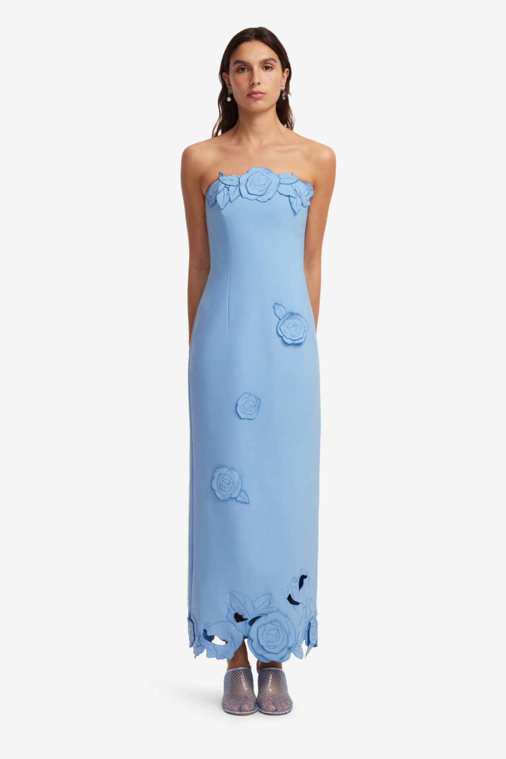 RAYNA APPLIQUE BUSTIER MAXI DRESS