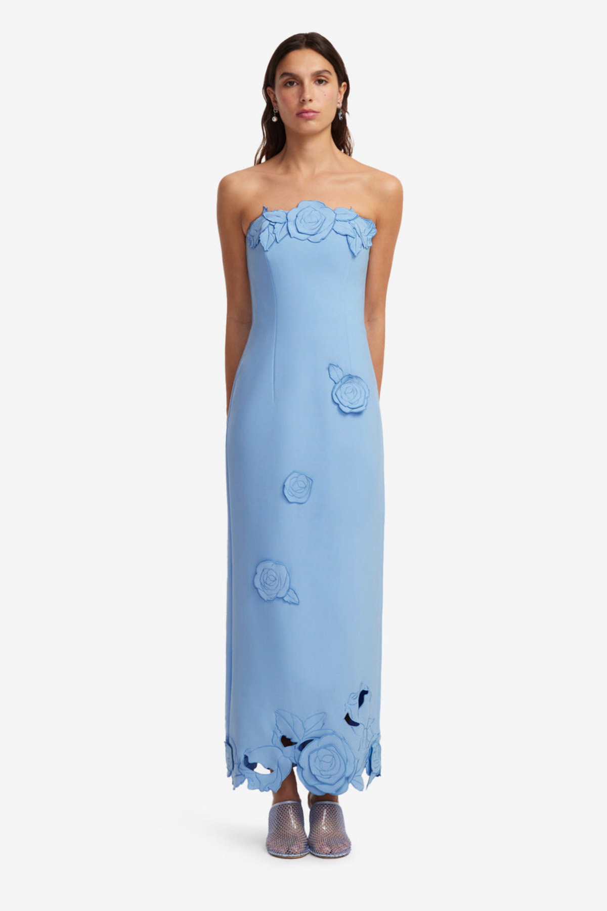RAYNA APPLIQUE BUSTIER MAXI DRESS