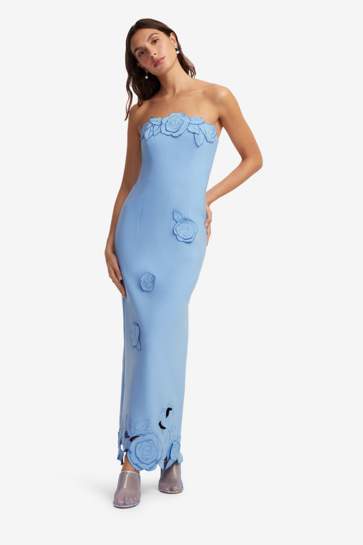 RAYNA APPLIQUE BUSTIER MAXI DRESS