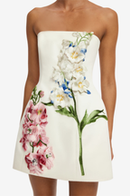 ROSELLE EMBROIDERED BUSTIER MINI DRESS