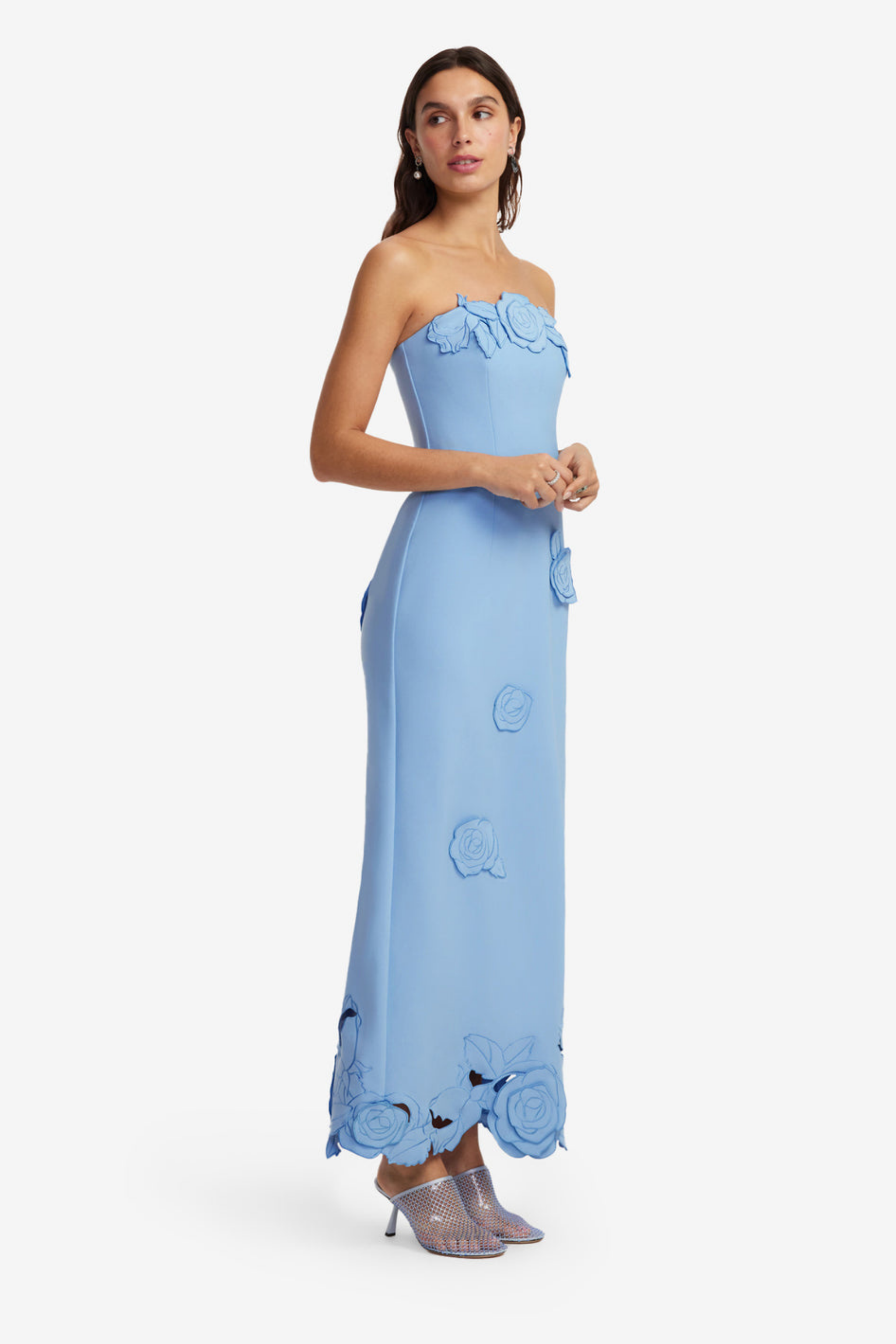 RAYNA APPLIQUE BUSTIER MAXI DRESS