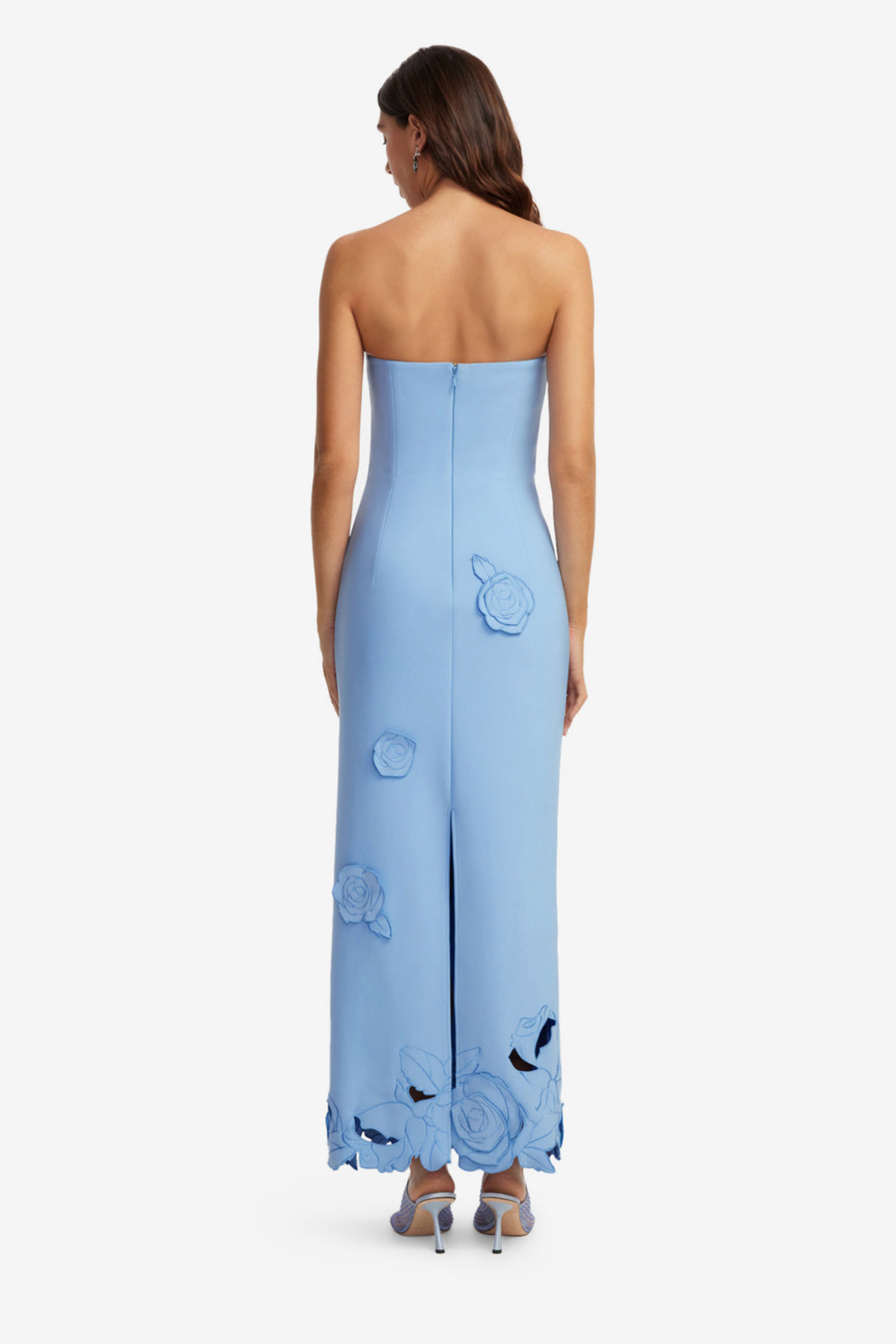 RAYNA APPLIQUE BUSTIER MAXI DRESS