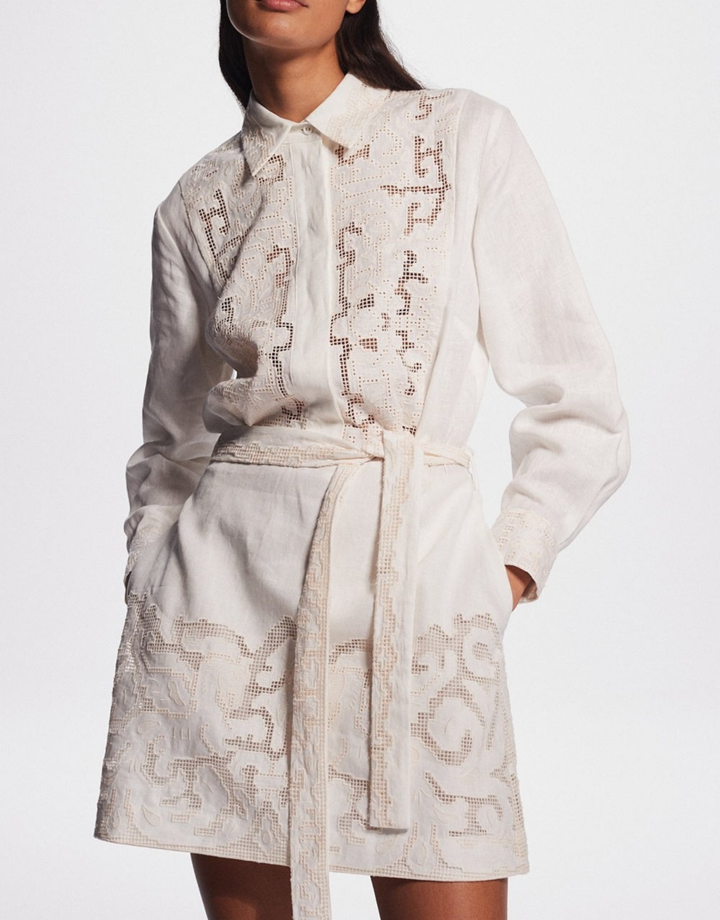 PEGASUS EMBROIDERED MINI DRESS