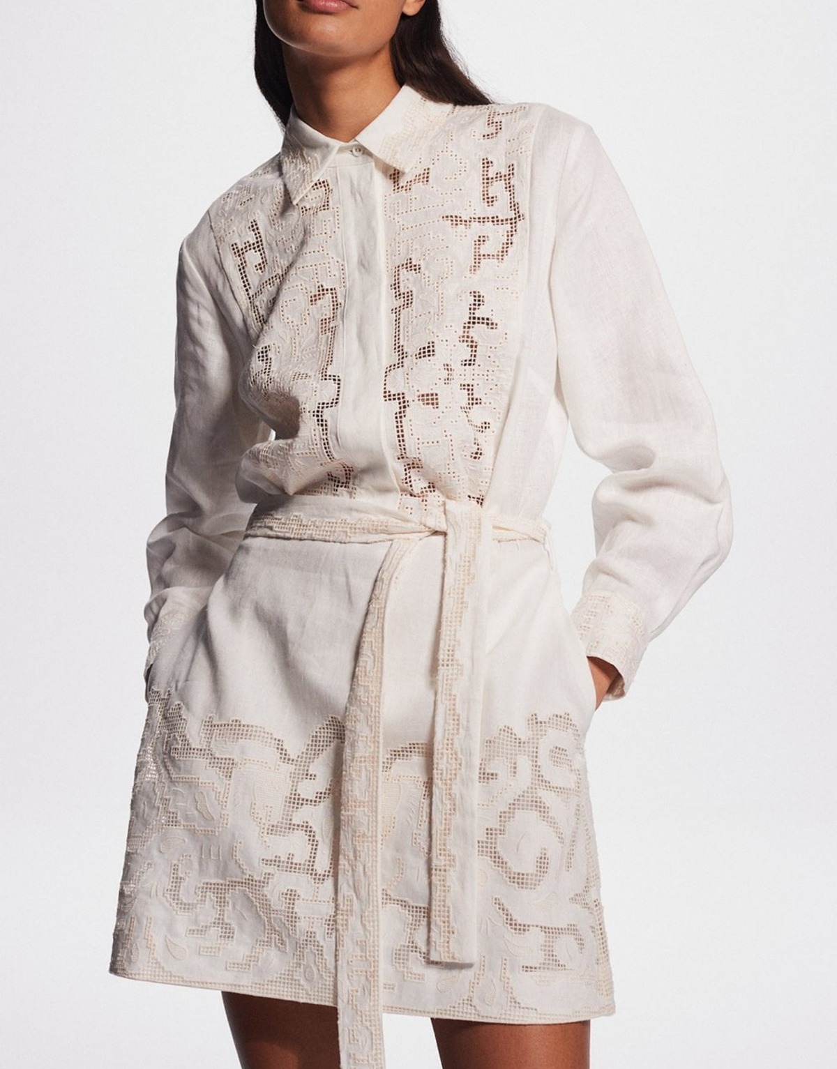 PEGASUS EMBROIDERED MINI DRESS