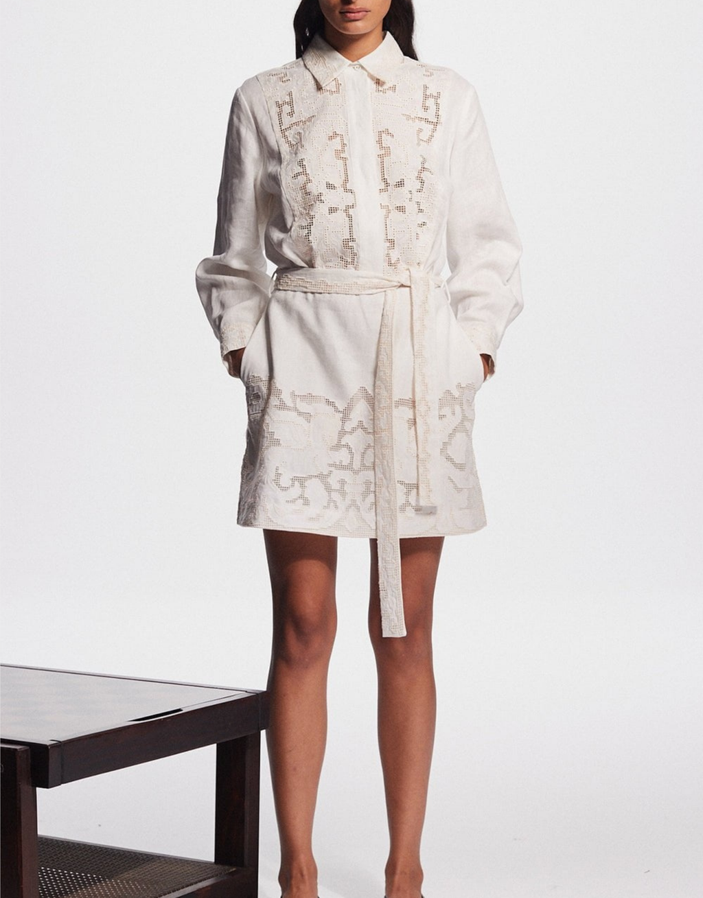 PEGASUS EMBROIDERED MINI DRESS