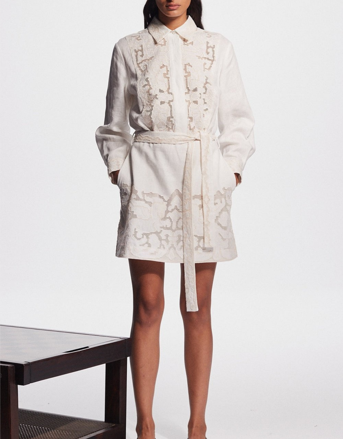 PEGASUS EMBROIDERED MINI DRESS