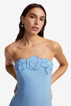 RAYNA APPLIQUE BUSTIER MAXI DRESS