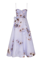 HYPNOTIC PICNIC DRESS